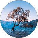 Yash P. profile picture